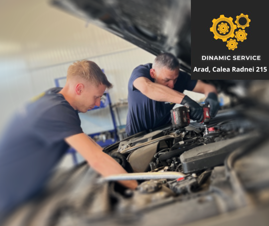 Servicii Dinamic Service Arad